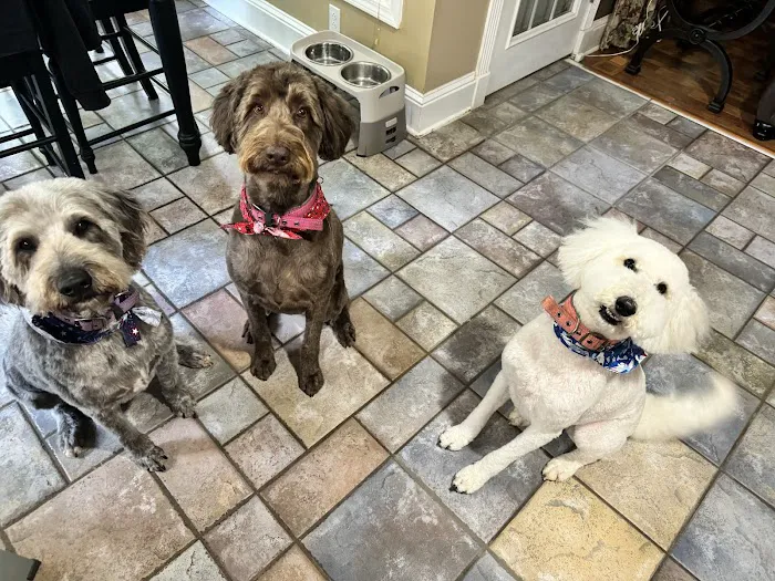 Affordable Vet Center 8