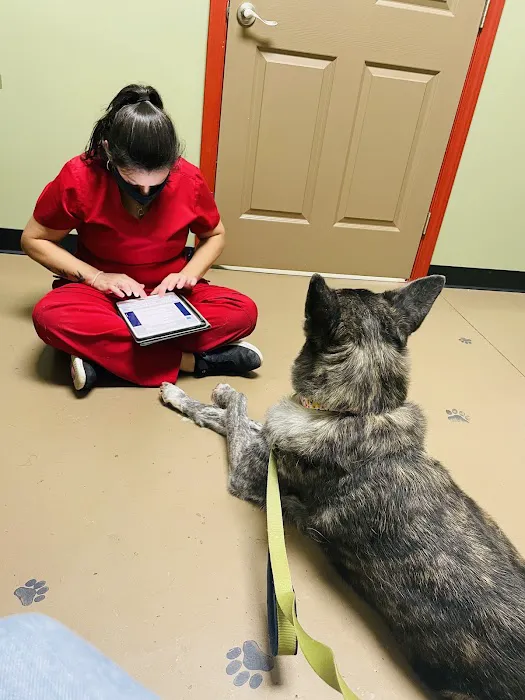 Affordable Vet Center 9