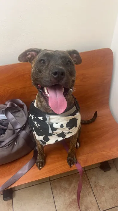 Banfield Pet Hospital 12