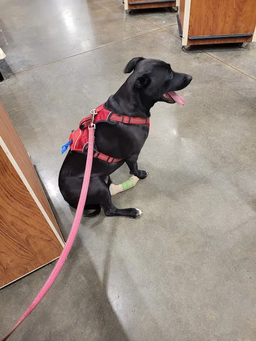 Banfield Pet Hospital 12