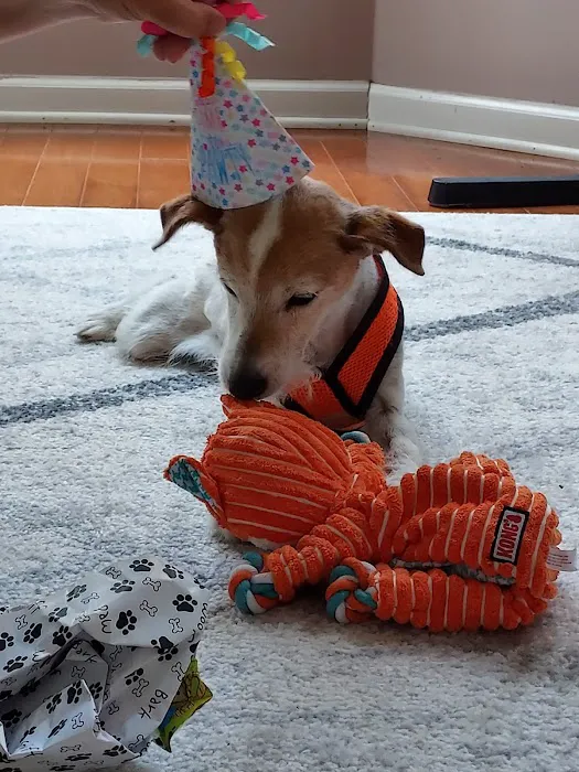 Banfield Pet Hospital 12
