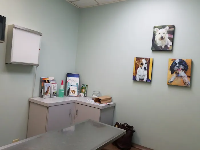 Animal Hospital of West Woodstock 8