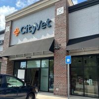 CityVet | Woodstock ico