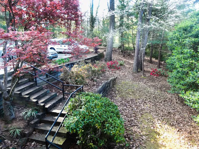 Atlanta Veterinary Dentistry 6