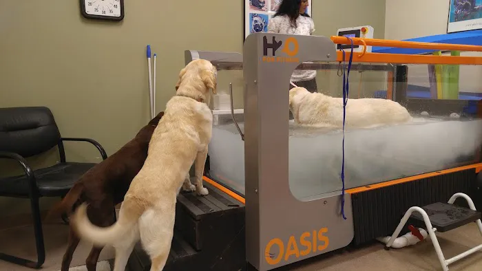 Atlanta Animal Rehab & Fitness 12
