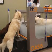 Atlanta Animal Rehab & Fitness ico