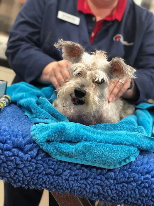 Atlanta Animal Rehab & Fitness 12