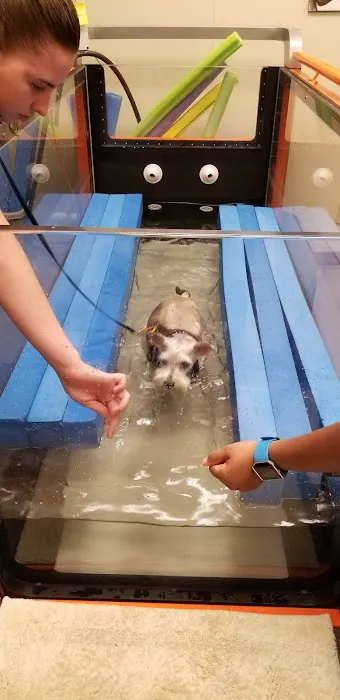 Atlanta Animal Rehab & Fitness 12