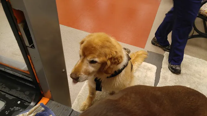 Atlanta Animal Rehab & Fitness 12