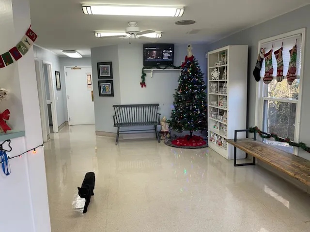 Holcomb Bridge Animal Hospital 12