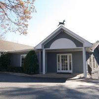 Holcomb Bridge Animal Hospital ico