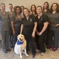 Atlanta Veterinary Dental Services ico