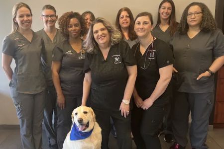 Atlanta Veterinary Dental Services