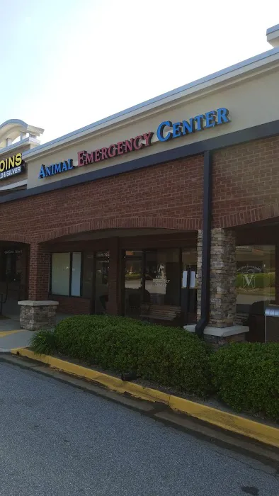 Atlanta Veterinary Dental Services 12