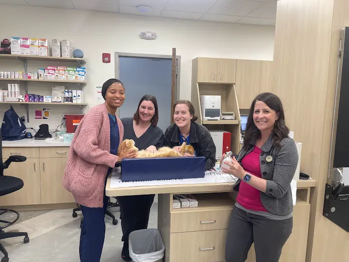 PeachVet Pet Wellness 12