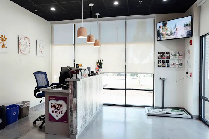 PeachVet Pet Wellness 12