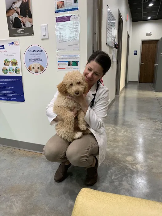 PeachVet Pet Wellness 12