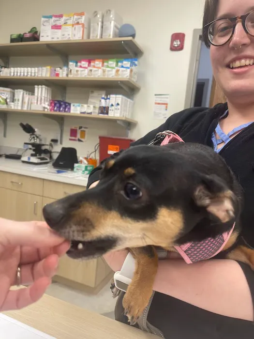 PeachVet Pet Wellness 12