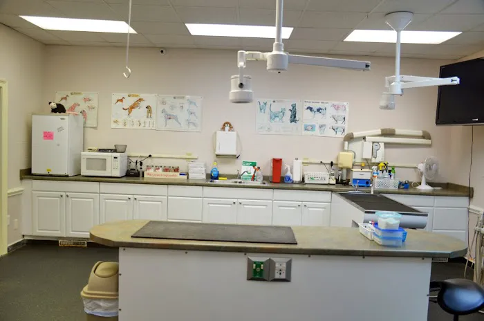 Hollyberry Animal Hospital 12