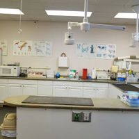 Hollyberry Animal Hospital ico