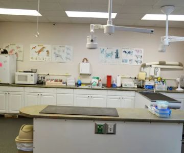 Hollyberry Animal Hospital