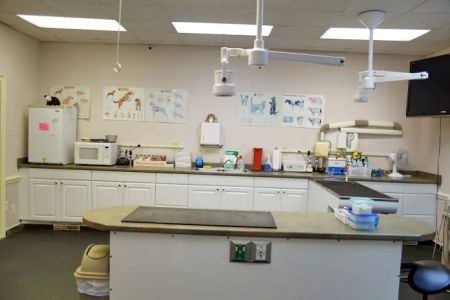 Hollyberry Animal Hospital