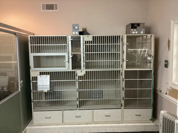 Hollyberry Animal Hospital 12