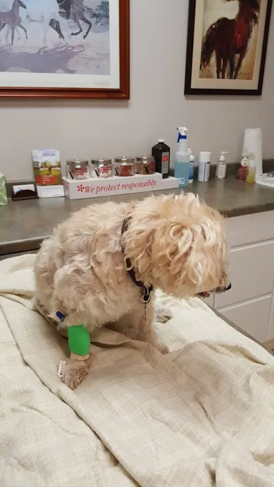 Hollyberry Animal Hospital 12