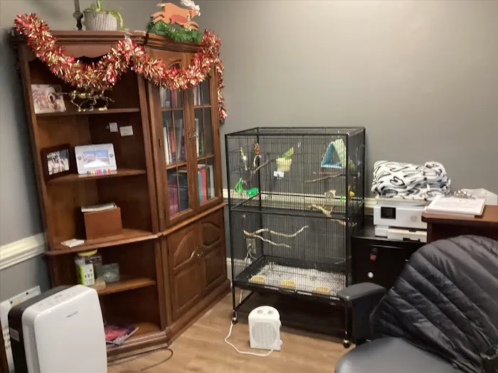 Hollyberry Animal Hospital 12