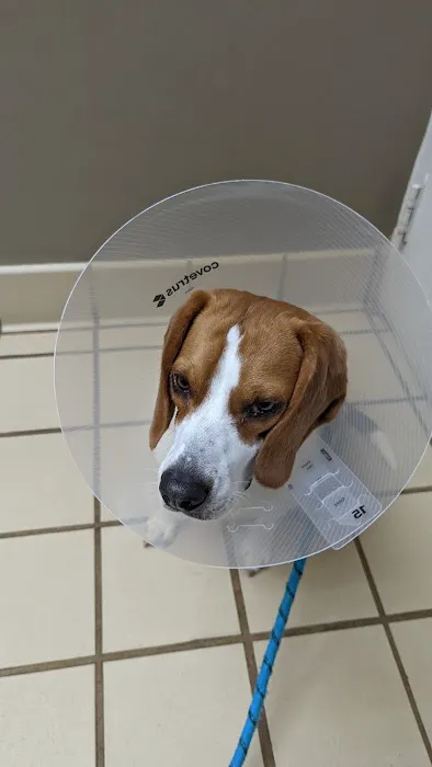 VCA Pets Are People Too Roswell Animal Hospital 1