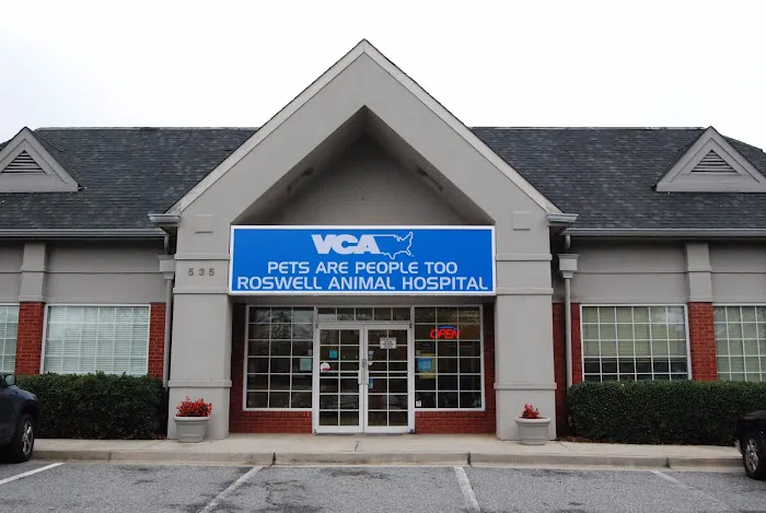 VCA Pets Are People Too Roswell Animal Hospital 6