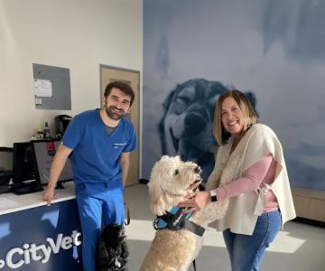 CityVet | Roswell + Urgent Care