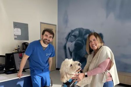 CityVet | Roswell + Urgent Care