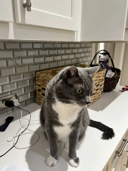 CityVet | Roswell + Urgent Care 2