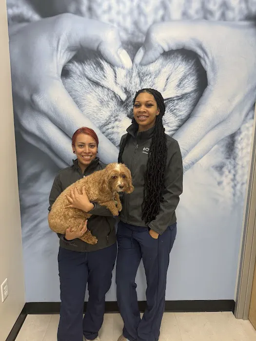 CityVet | Roswell + Urgent Care 6