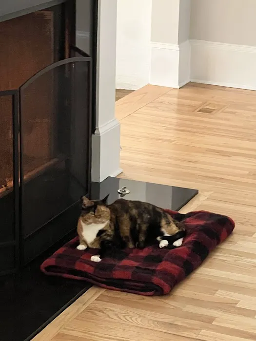 CityVet | Roswell + Urgent Care 9