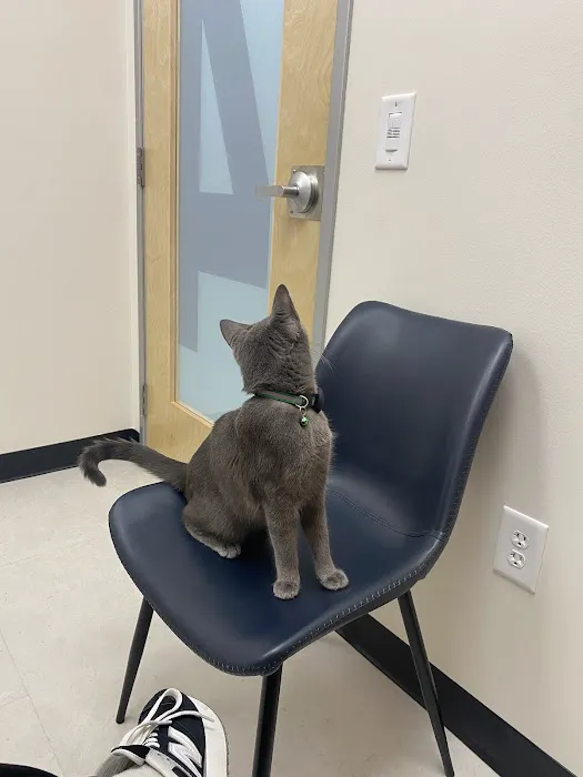 CityVet | Roswell + Urgent Care 7