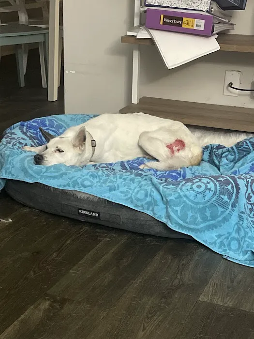CityVet | Roswell + Urgent Care 8