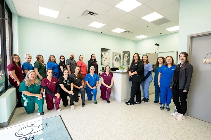 Community Cat Clinic 12