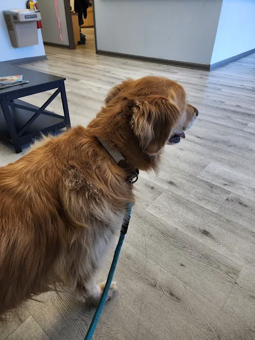 Family Pet Hospital 6