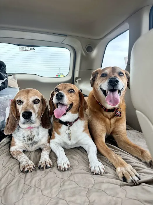 Trickum Ridge Animal Hospital 4