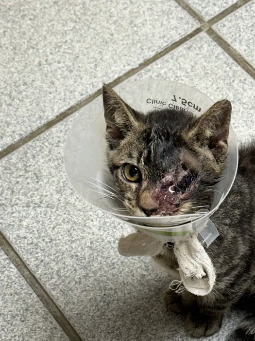 Trickum Ridge Animal Hospital 10
