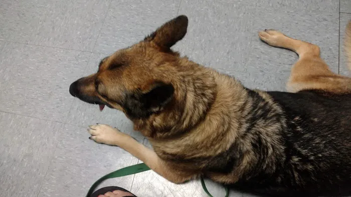 Suburban Veterinary Clinic 12