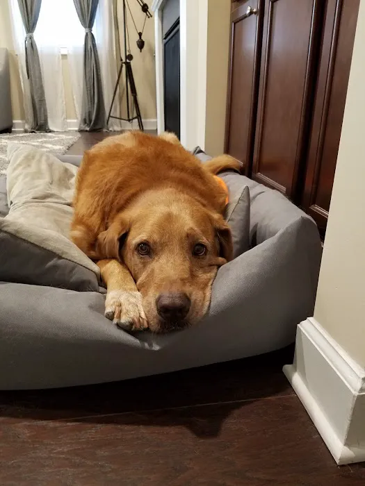 Etowah Veterinary Hospital 12
