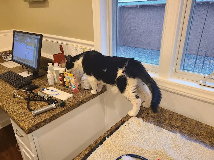 Etowah Veterinary Hospital 12