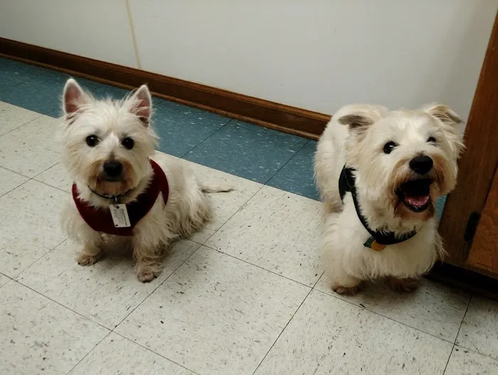 Woodstock Veterinary Hospital 12