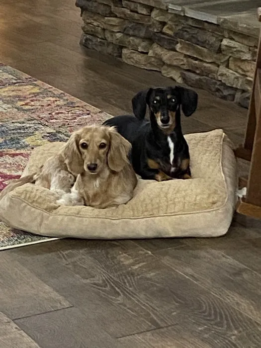 Crossroads Veterinary Hospital 12