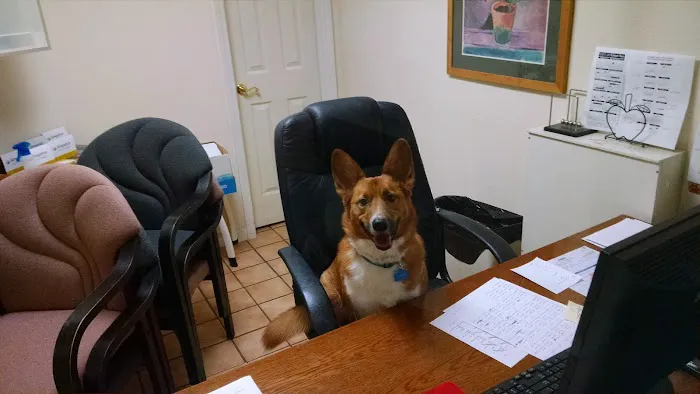 Sweetapple Animal Hospital 9
