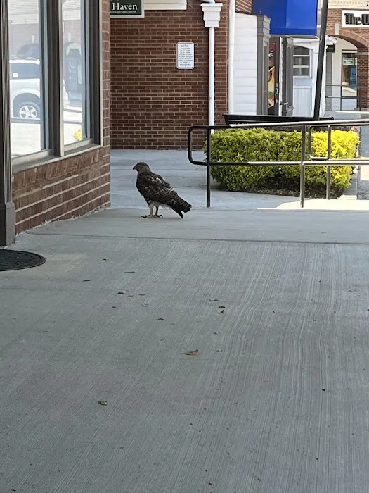 Dunwoody Animal Medical Center 6
