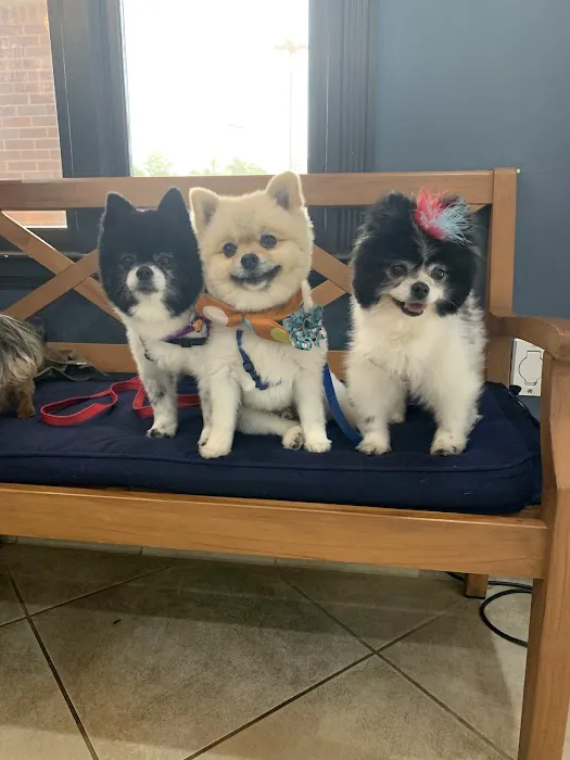 Dunwoody Animal Medical Center 7